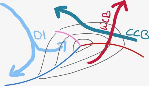 Abb.1: Schematische Darstellung der Strömungssysteme in einem Tiefdruckgebiet, inklusive „warm conveyor belt“ (WCB), „dry intrusion“ (DI), und „cold conveyor belt“ (CCB).
